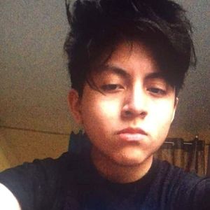 Meet your Posher, Ronald